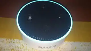 How to Use the wikiHow Skill on Amazon Alexa
