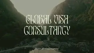 NON IMMIGRATION VISA