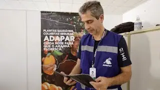 Como a ADAPAR atua na defesa sanit&aacute;ria do Paran&aacute;