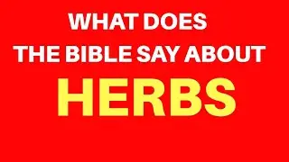 10 Bible Verses About Herbs | Get Encouraged