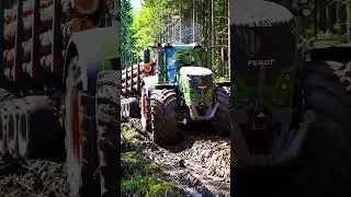 Tractor hauling logs Tractor transporting wood Logging tractor carrying timber