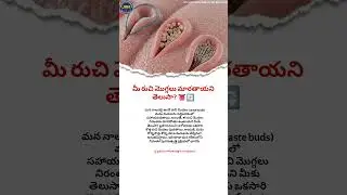 NEW Taste Buds Every 10 Days? #TasteBuds #HealthFacts #DidYouKnow #JeevithanniMaarcheMaatalu #shorts