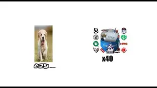 Opening x40 2025 austin contenders capsule