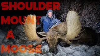 Basic Caping to Shoulder Mount a Moose l Greg McHale's Wild Yukon