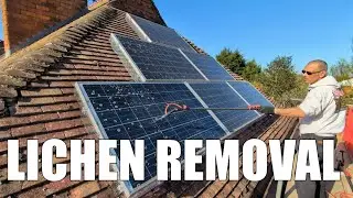 Solar Panel Cleaning in Milton Keynes - Epic Lichen and Moss Removal
