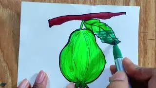 how to draw guava step by step l guava drawing | अमरूद की ड्राइंग