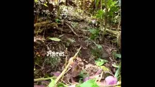 SOP MANU - Mission dans la vall&eacute;e de la Maruapo