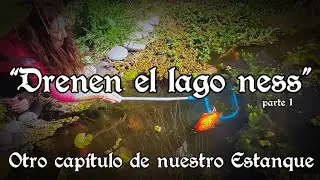 🐍🐉Anguillas en el Estanque, Solucion definitiva: 