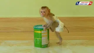 Kako Family | Tiny Baby Olly Eating Milk Powder