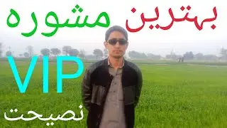 Desi Kikar, Poplar, Simal, Farash, Shareen, Sufeda, Trees Farming in Punjab and Sindh, Pakistan
