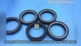 Working condition of spring energized seals