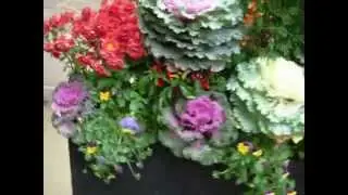LIVE BOTANICAL ART: Designs by TU BLOOM