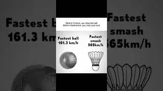 Cricket vs Badminton Speed Comparison 😱Fastest Ball vs Fastest Smash #notoutnetwork #fyp #feedshorts