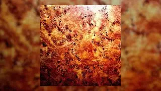 Glossary of Chemistry Terms - Violent Frequencies [FULL EP | JAN, 2025]