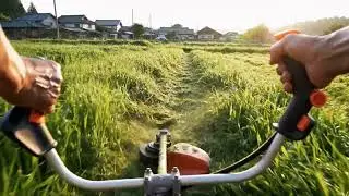 AI-Generated POV Lawn Mowing | Satisfying Yard Work