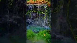 Get Ready to Unwind with Jazz and Waterfall Bliss!