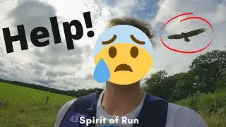 Je me fais attaquer par une buse! (Weekend choc - entra&icirc;nement trail)