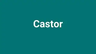 'Castor' Meaning and Pronunciation