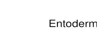 How to pronounce Entoderm