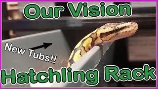 Vision Hatchling Rack with NEW Tubs!!
