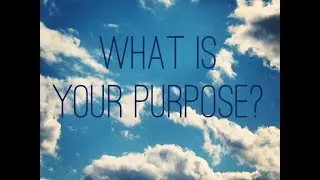 What Is Your Life Purpose? by Greg Piatkowski