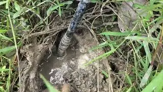 Eel fishing technique