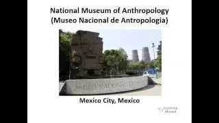 The 10 Most Popular Museums in World