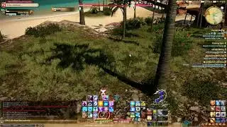 FFXIV - Battlecraft Leve: Call Me Mating (Eastern La Noscea)