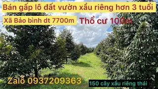 Chủ cần b&aacute;n gấp l&ocirc; đất x&atilde; bảo b&igrave;nh dt 7700m tc 100m vườn xầu ri&ecirc;ng VIP Gi&aacute; 1,1 tỷ s&agrave;o