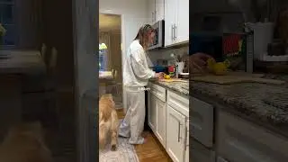 Part 2: evening routine as a dog mom #goldenretreiver