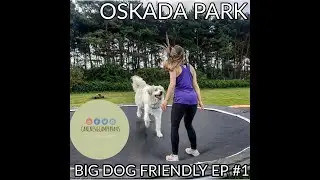 Best Dog Friendly Campsite In The UK? || Big Dog Friendly Ep #1 || Oskada Park