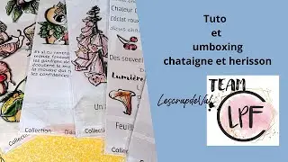 Tuto et unboxing châtaigne et hérisson de lpf