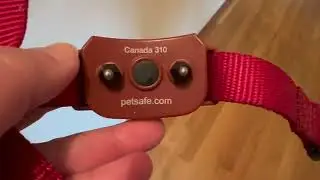 Беспроводной забор PetSafe Stay & Play для упрямых собак. Насколько быстро PetSafe отработал для ...