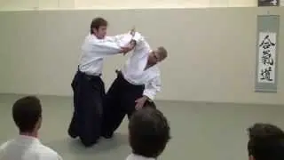 Pascal Guillemin in Aikido Academy on November 2013