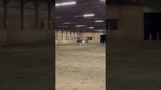 Sam and Twister riding bareback flag and barrel patterns