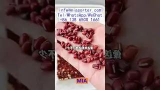 Color Sorter Machine Turnkey Manufacturing Core Components Supply USA Canada France Italy Spain Iraq