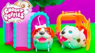 The Chubby Puppies Beagle Tunnel Playset Ultimate Dog Park Toy Review