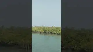 jambu Island