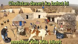 Cholistan desert ka bahut hi Bada mashhur Kila Kila bijnot # village life in Pakistan 
