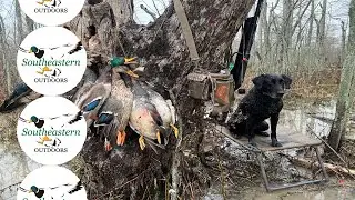 Arkansas Waterfowl Hunting - 🦆 Popa Duck Lodge -  Palmer, AR  Woods - Dec 2022