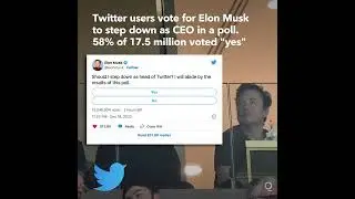 Twitter Users Vote for Elon Musk to Step Down as CEO