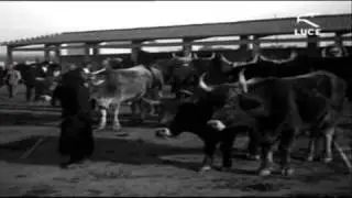Oristano....video fatto nel  Febbraio 1932