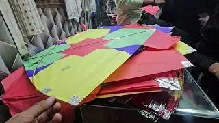 Lahore Basant 2026 / Lahore Kite Sopes Open / Beautiful Kites Lahore