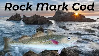 How To Catch Cod From Rock Marks - UK And Europe - Sea Fishing Tutorial
