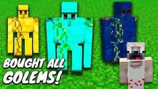 What if I BUY ALL THESE GOLEMS in Minecraft ? BLUE GOLEM VS YELLOW GOLEM !