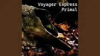 Voyager