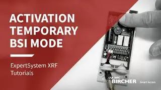 How to activate temporary BSI mode? | ExpertSystem XRF Tutorial | BBC Bircher Smart Access