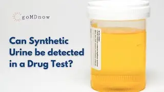 Can Synthetic Urine be detected in a Drug Test