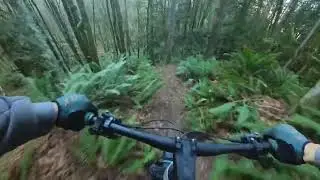 Phil&rsquo;s Shred Factory (Rocky point Mountainbike trails, Scappoose OR)