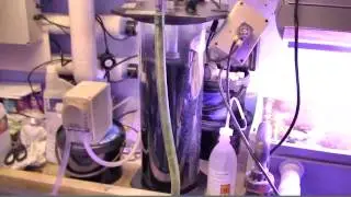 Deltec Nitrate filter
